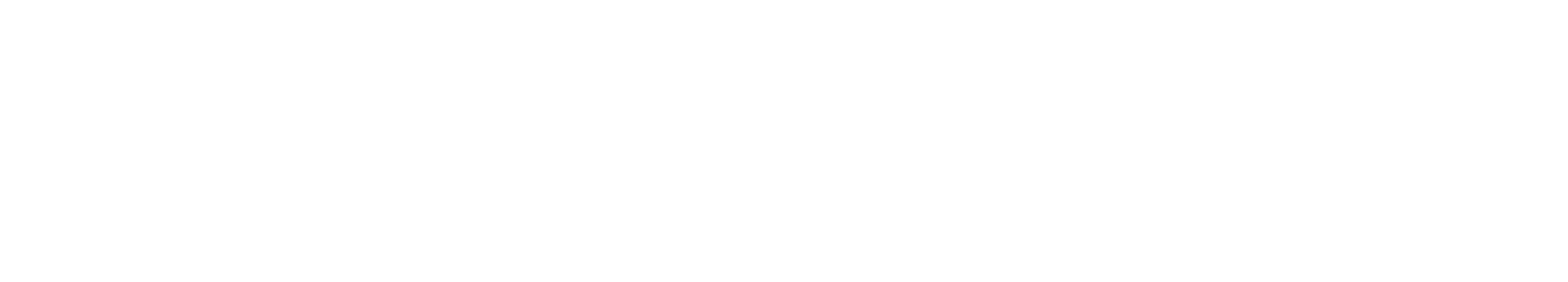 Noova-logo-hvit_website