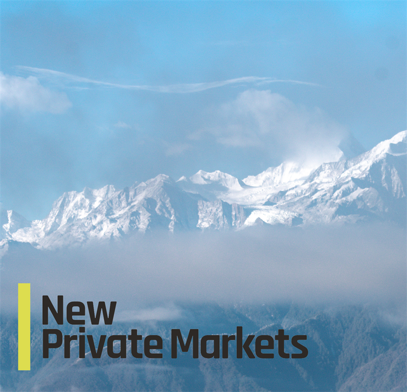 New Private Markets